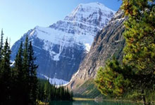 开云APP-罗马队西德比告负，名帅面临解聘危机的简单介绍