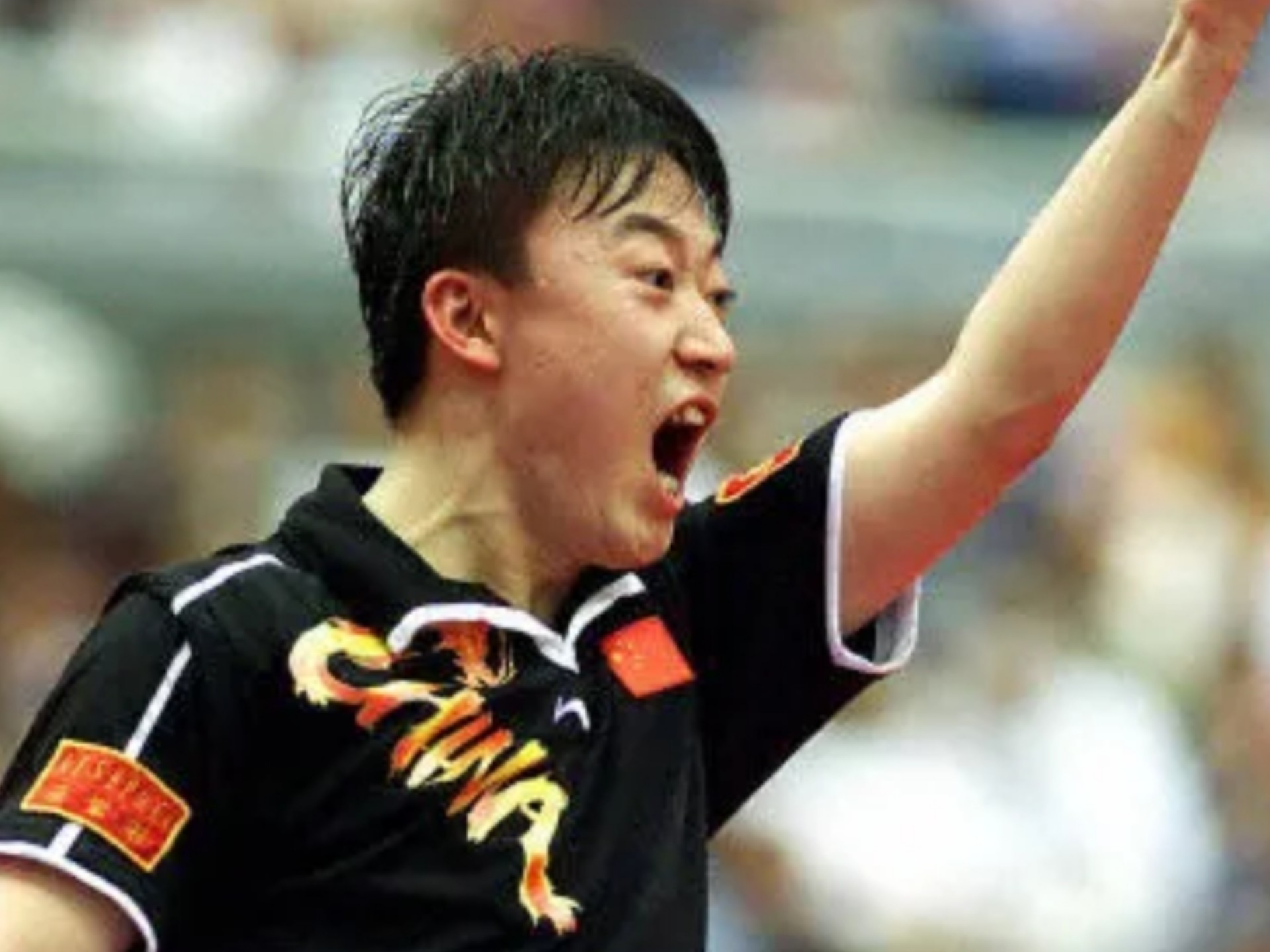 韩国羽毛球队绝地反击丹麦羽毛球队，马琳绝境逆转的简单介绍